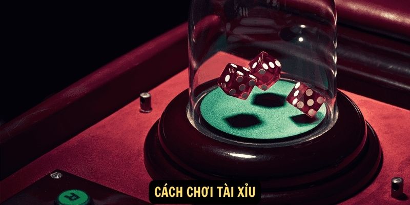 Cách chơi tài xỉu